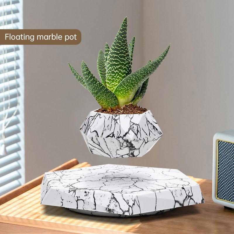 Intelligent Magnetic Levitation Creative Agent Potted Plants - Stellar Real