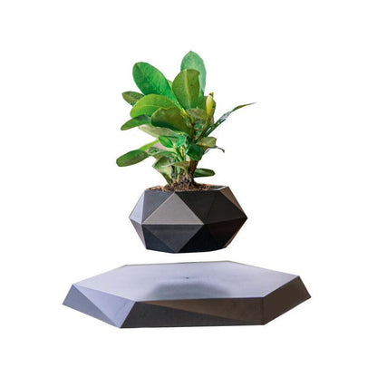 Intelligent Magnetic Levitation Creative Agent Potted Plants - Stellar Real