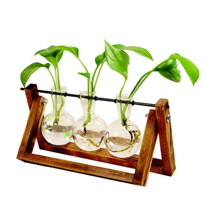 Terrarium Hydroponic Plant Transparent Vase Wooden Frame Glass Tabletop - Stellar Real