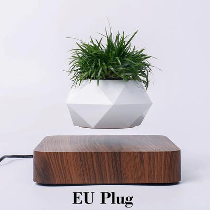 Levitating Air Bonsai Pot Rotation Magnetic Suspension Desk Plant - Stellar Real