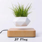 Levitating Air Bonsai Pot Rotation Magnetic Suspension Desk Plant
