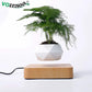 Levitating Air Bonsai Pot Rotation Magnetic Suspension Desk Plant
