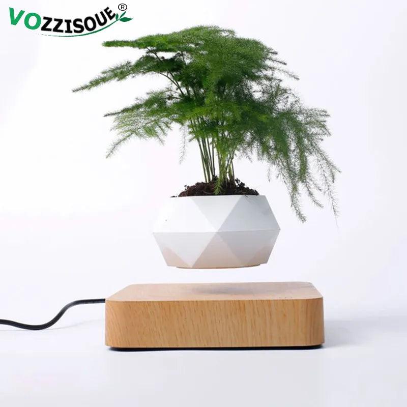 Levitating Air Bonsai Pot Rotation Magnetic Suspension Desk Plant - Stellar Real