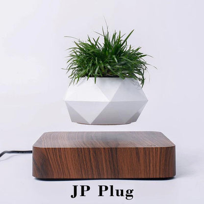 Levitating Air Bonsai Pot Rotation Magnetic Suspension Desk Plant - Stellar Real