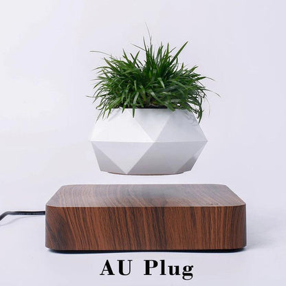 Levitating Air Bonsai Pot Rotation Magnetic Suspension Desk Plant - Stellar Real